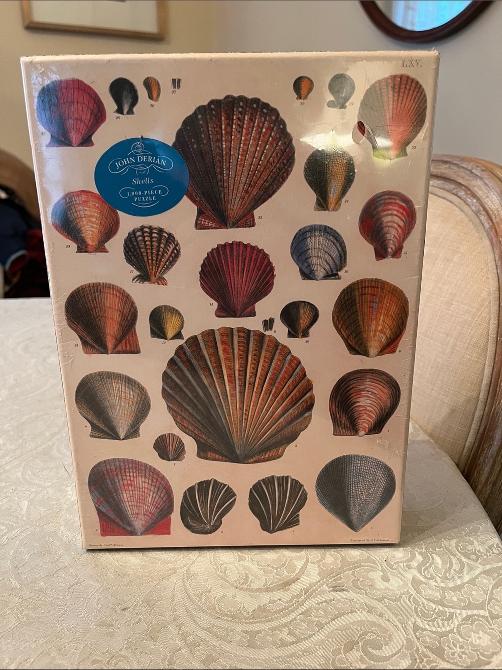 John Derian Shells 1,000-Piece Puzzle - Multicolor Sealed and NWT